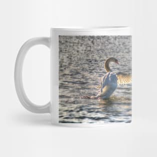 Mute Swan Mug